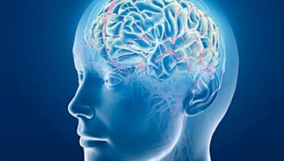 A patient in a vegetative state has been shown to ‘pay attention' to ...