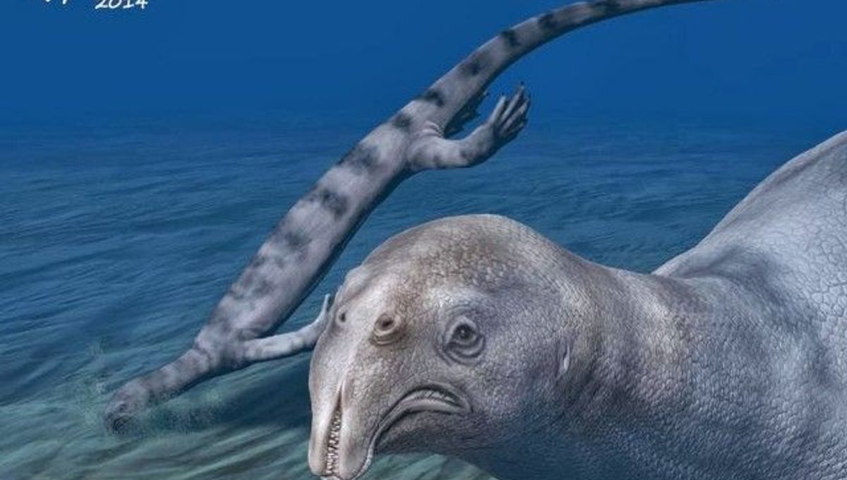 Strange Reptile Fossil Discovered in China IFLScience