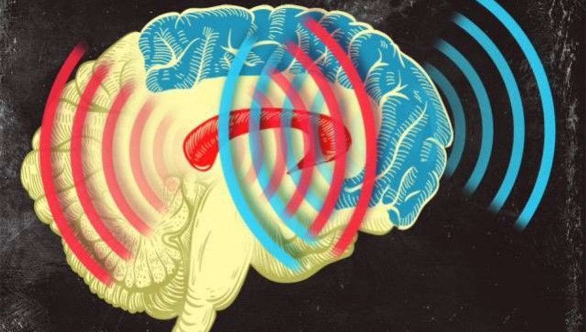 Brain Waves Synchronize for Faster Learning | IFLScience