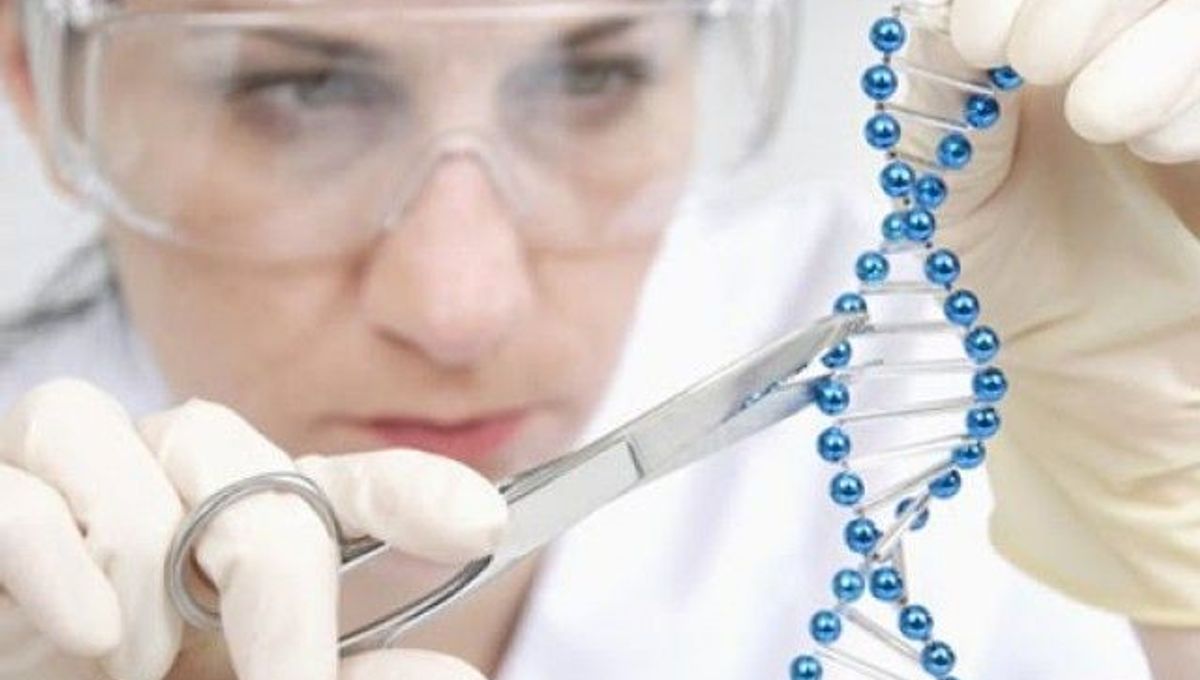 DNA Scissors Can Perform Surgery On Your Genes IFLScience