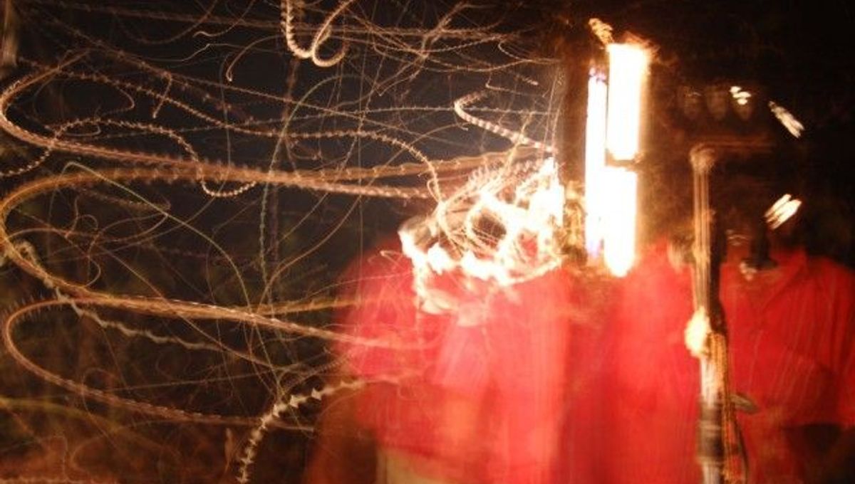 Why Are Bugs Attracted To light? IFLScience