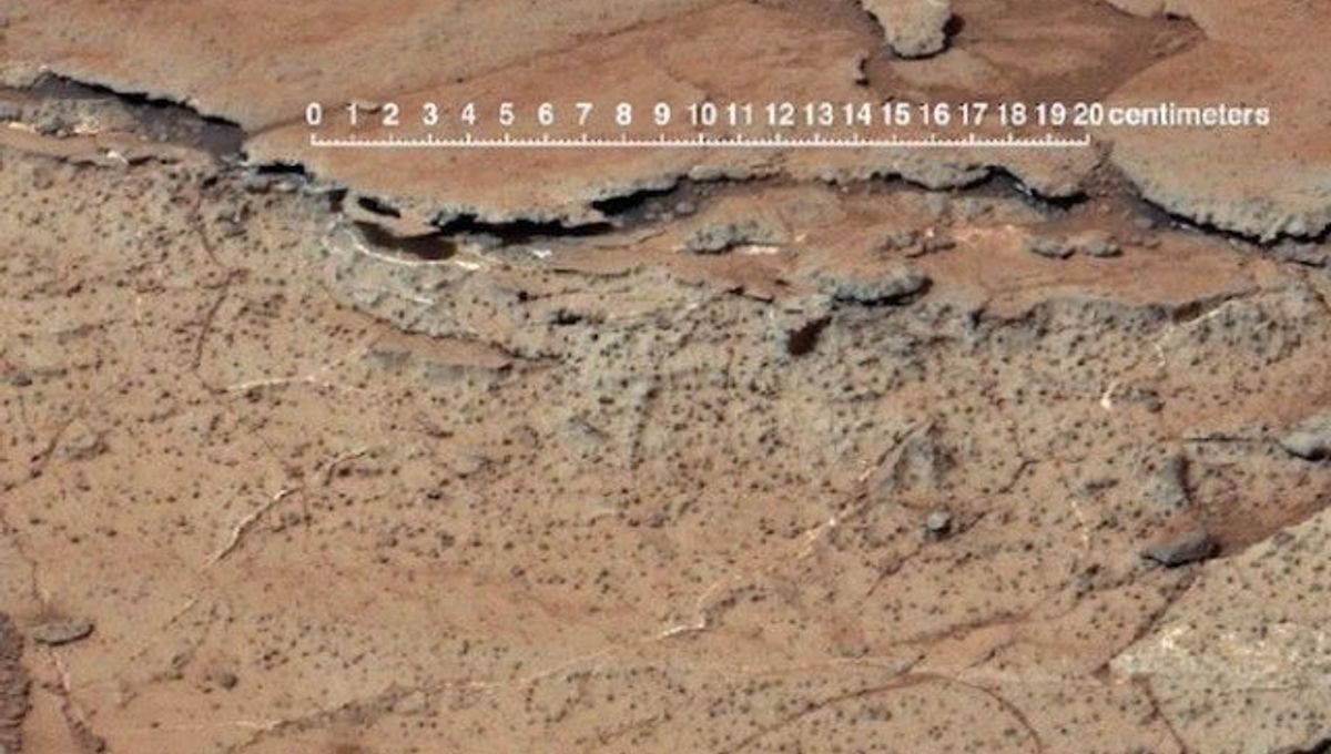 Earthlike Soils on Mars Suggest Microbial Life IFLScience