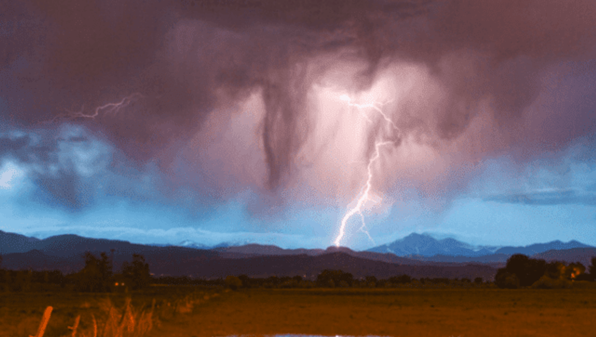 'Shock And Kill' Approach Cures Mice Of HIV In World First IFLScience