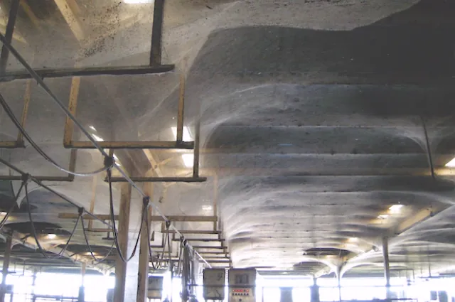 Orb-Weaver Spiders Stuff A Treatment Plant With A 4-Acre Web | IFLScience
