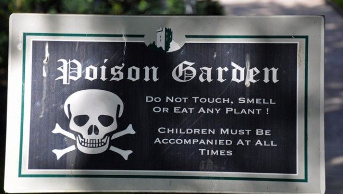 Meet Five Of The UK’s Most Poisonous Plants | IFLScience