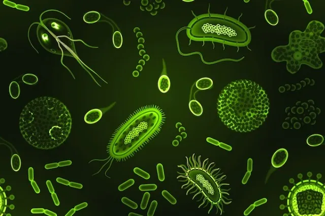 Life Would Go On in Hot, Stinky World Without Microbes | IFLScience