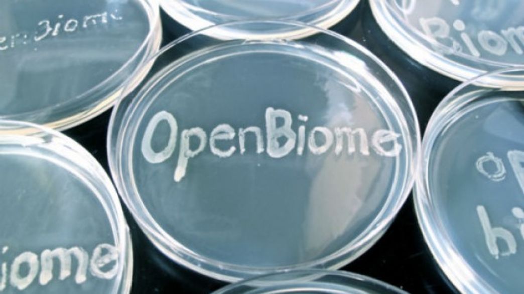 You Can Sell Your Poop For 13k Per Year And Help Science IFLScience