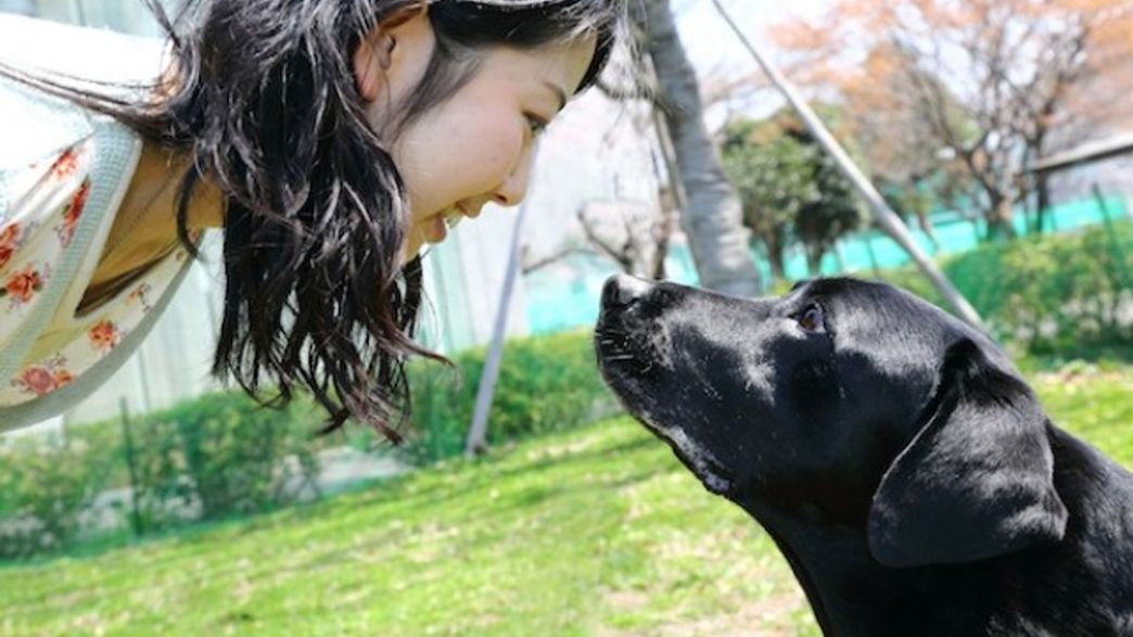 Scientists Explain Why We Can't Resist Puppy Dog Eyes | IFLScience