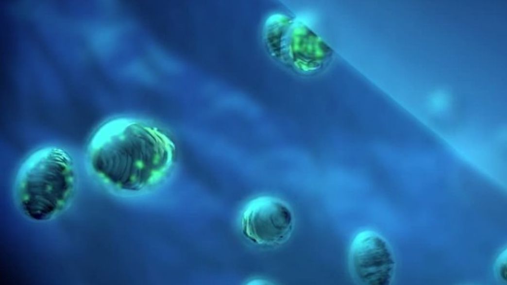 First Baby Conceived With New Fertility Treatment was Born Last Month