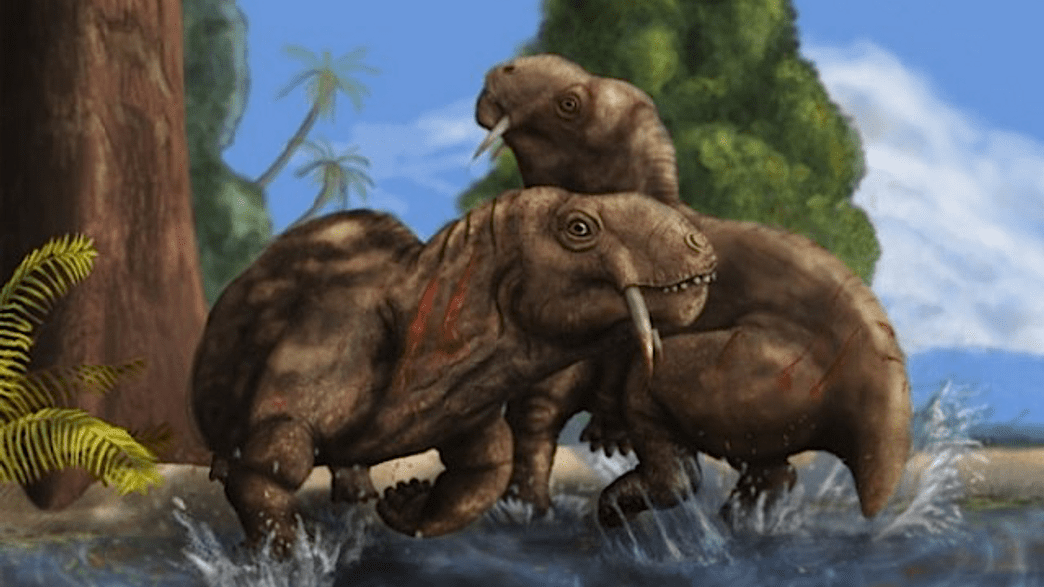 Prehistoric Herbivore Used SaberLike Teeth For Combat IFLScience