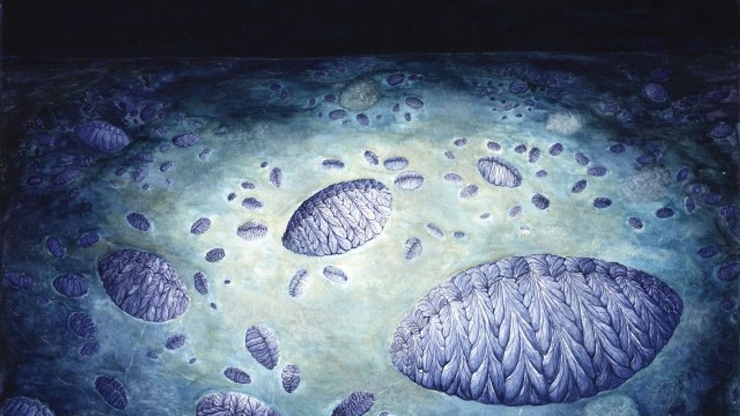 Researchers Find Earliest Example Of Reproduction In A Complex Organism ...