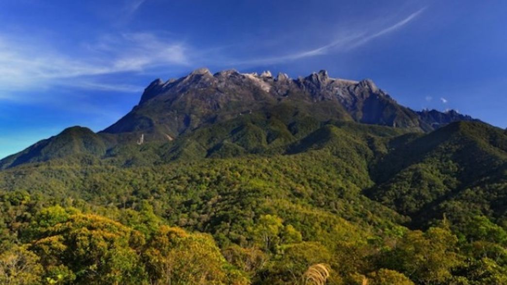 How Borneo's Unique Mountain Wildlife Evolved | IFLScience