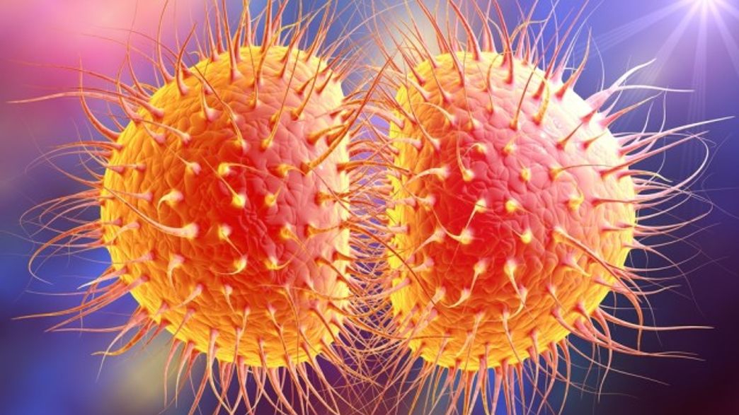 Outbreak Of "Super" Gonorrhea In Northern England IFLScience
