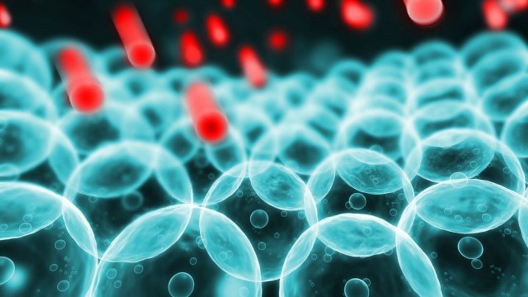 Why Antioxidants Might Actually Make Your Cancer Worse IFLScience