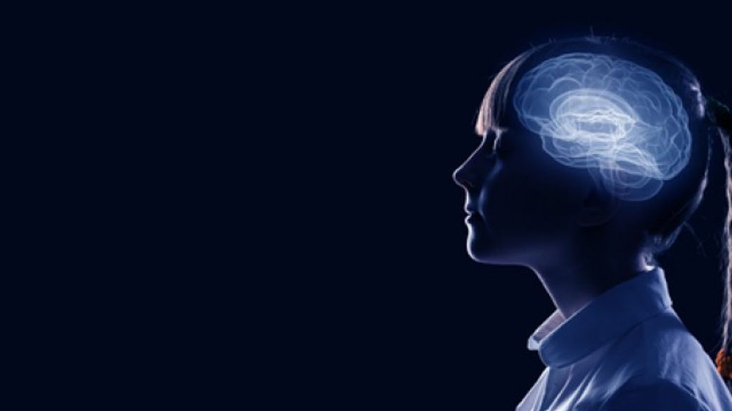 What's The Difference Between Male And Female Brains? IFLScience