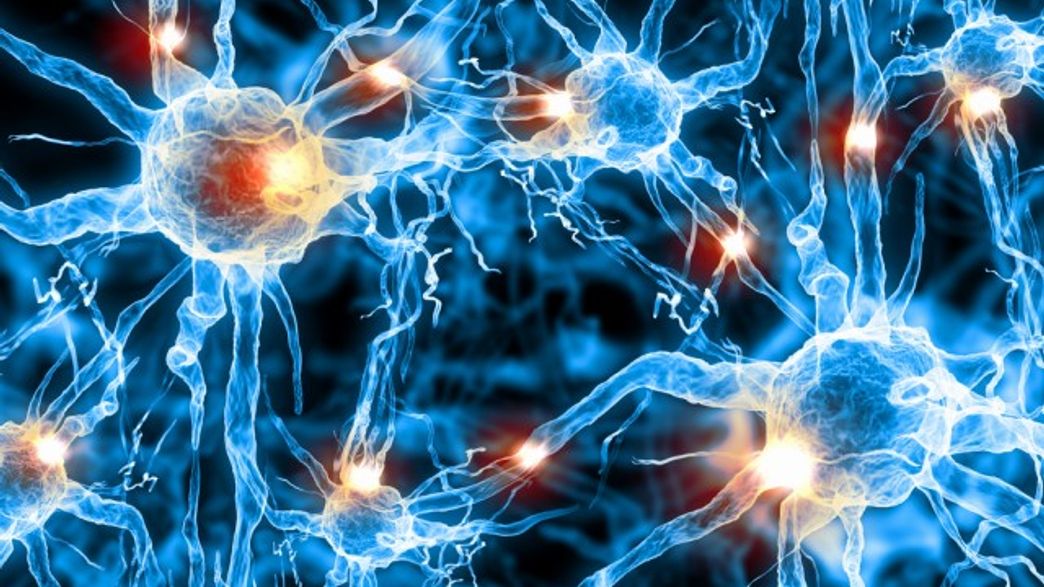 LabGrown Dopamine Neurons Could Help Treat Parkinson’s Disease