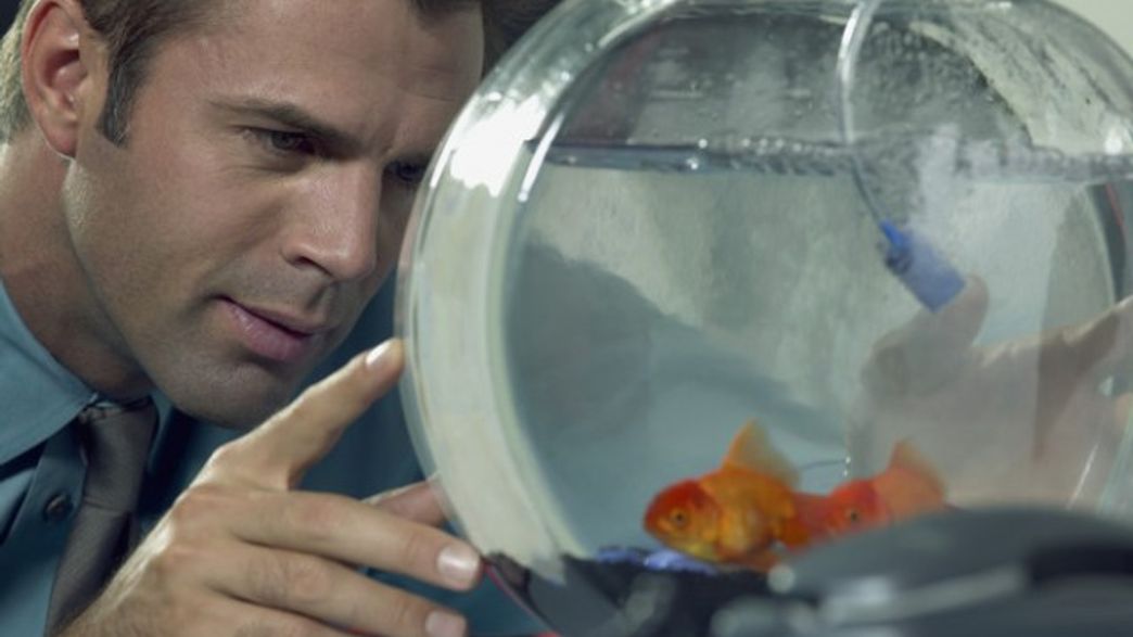 Is Technology Making Your Attention Span Shorter Than A Goldfish’s