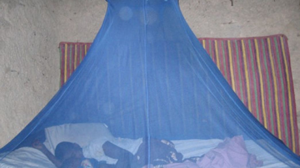 Another Way Mosquito Nets Can Save Lives IFLScience