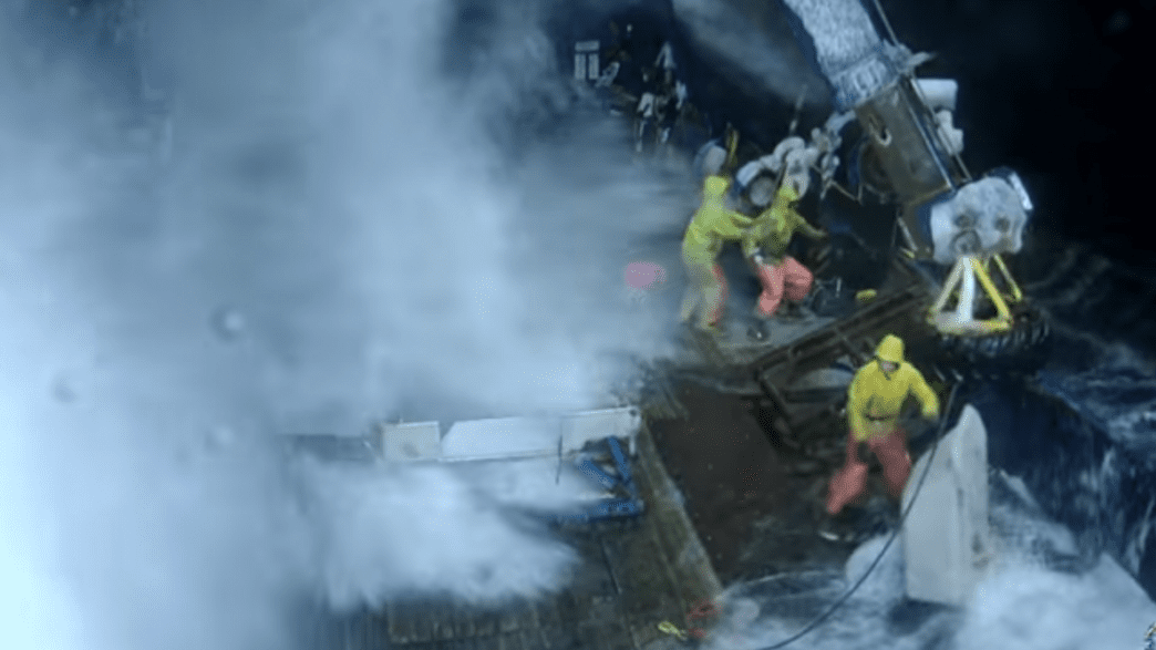 Dangerous Commercial Fishing Practices Are Declining IFLScience