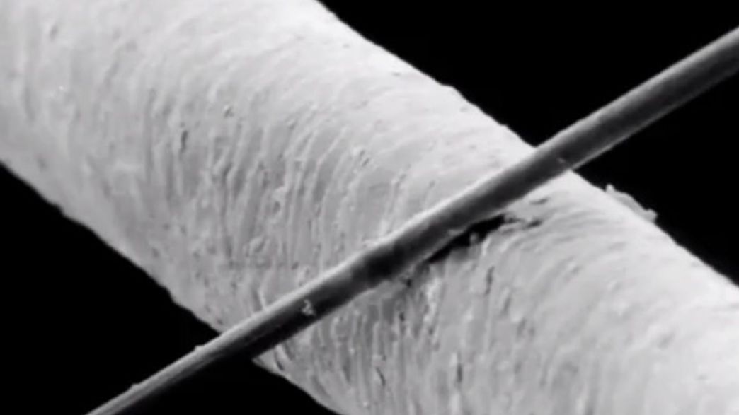 1464387387 1184 A Researcher Just Accidentally Developed A Battery That Could Last A Lifetime L