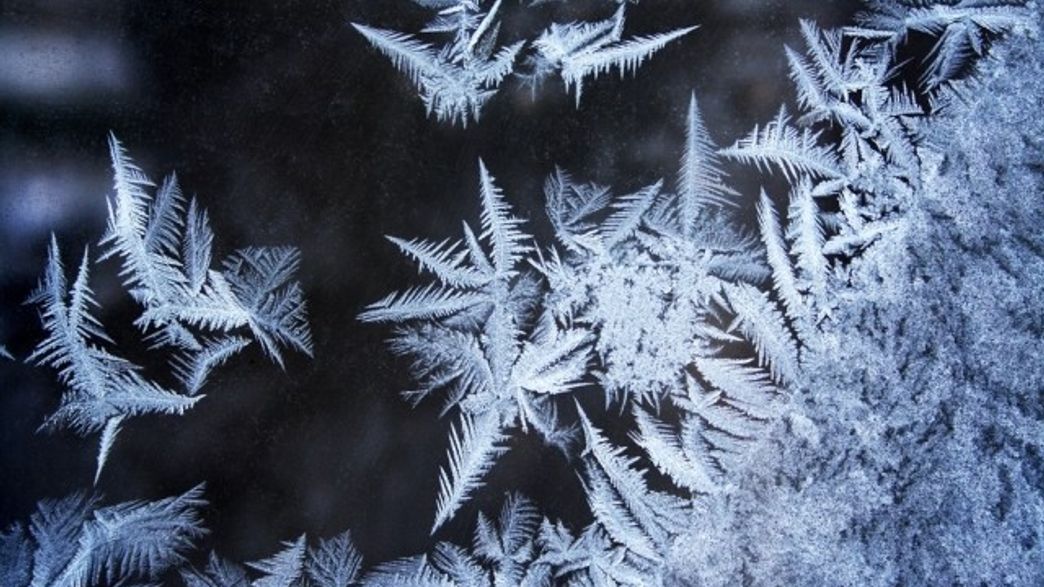 How Bacteria Make Ice IFLScience