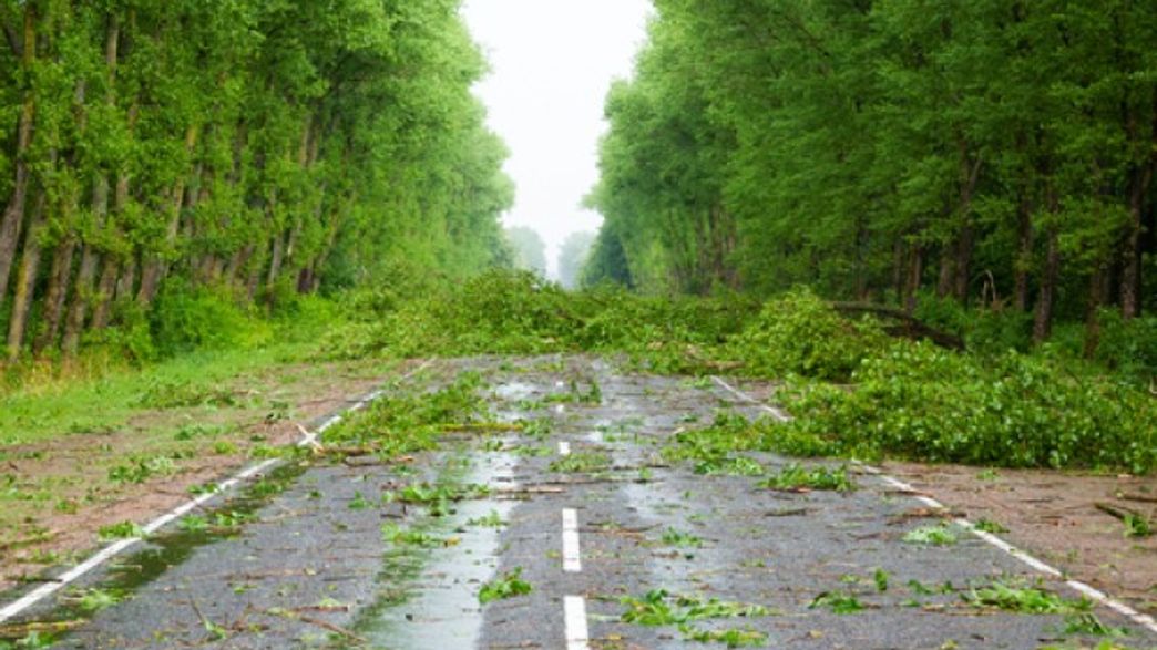 How Hurricanes Affect Climate Change IFLScience