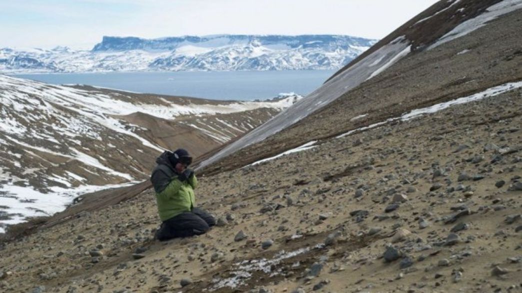 Treasure Trove Of Dinosaur Fossils Found In Antarctica IFLScience