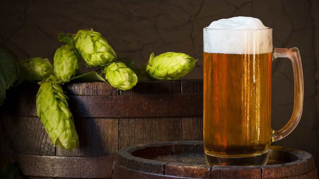 Beer Hops May Protect Against Liver Disease IFLScience