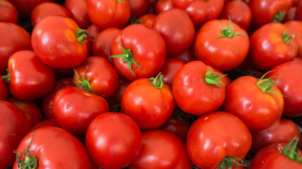 Here’s Why You Shouldn’t Put Tomatoes In The Fridge | IFLScience