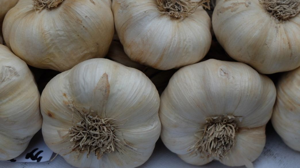 Testing LifeHacks With ‘Citizen Science’ Does Stainless Steel Really