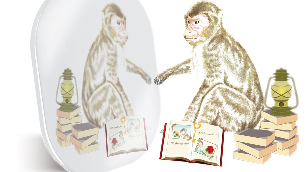 Monkeys Are Aware Of The Unreliability Of Their Memories | IFLScience