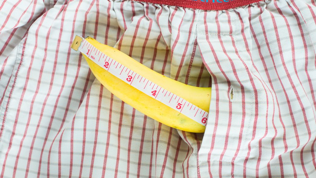 Why Did Humans Evolve Big Penises But Small Testicles IFLScience