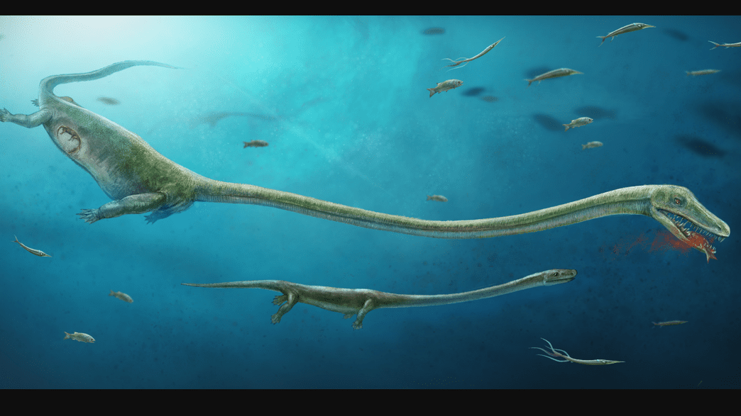 Ancient Fossil Shows First Evidence Of Live Births In Animals Thought ...