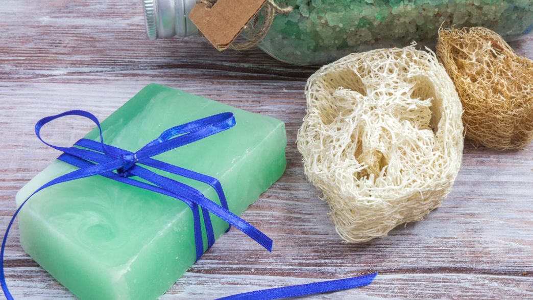 Apparently No One Knows Where Loofahs Come From IFLScience