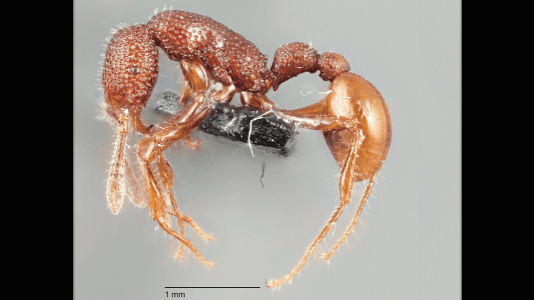 【R&B】Ant Unbelievable hqdefault.jpg