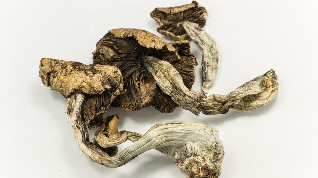 Magic Mushrooms Are Safer Than Alcohol, According To Global Study