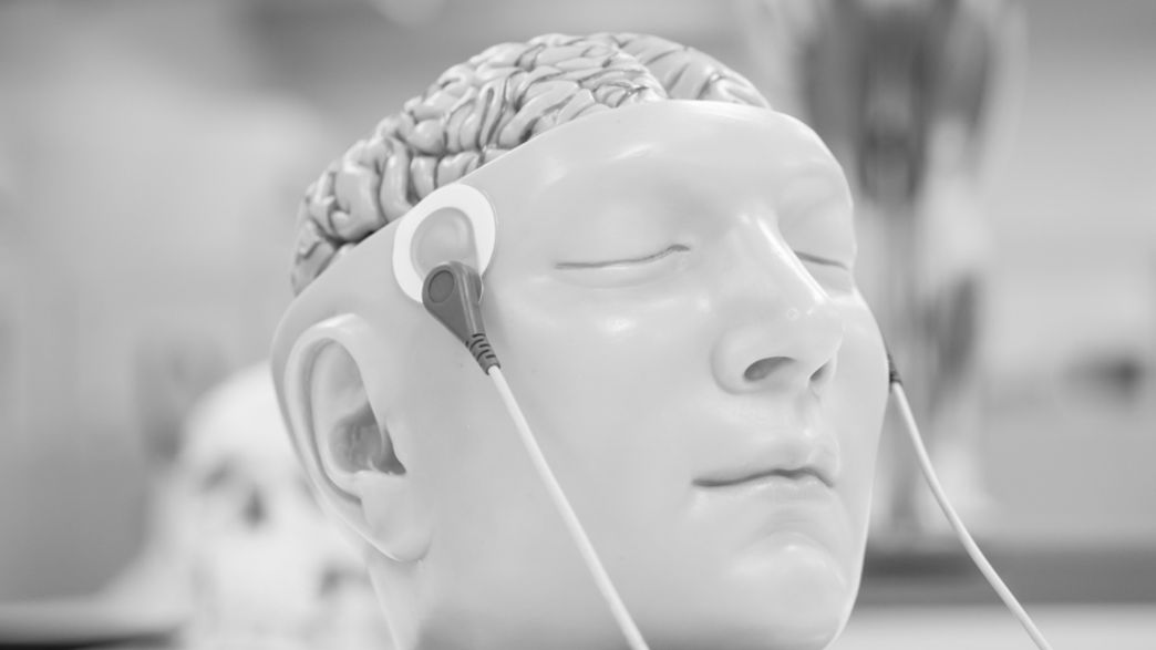 Controversial Study Wants To Resurrect Brain-Dead People | IFLScience
