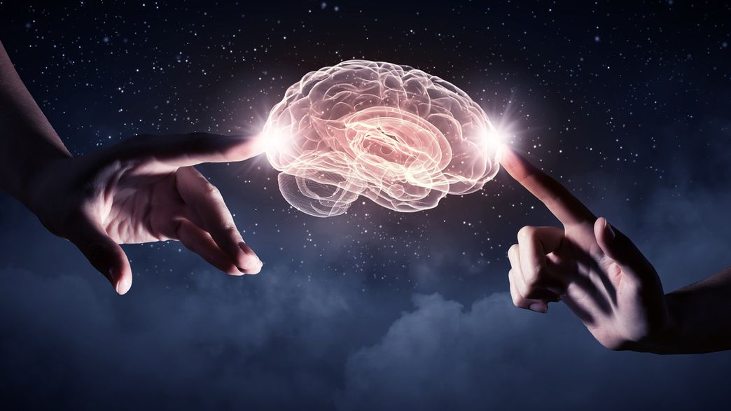 Why Did Humans Evolve Such Large Brains Because Smarter People Have 