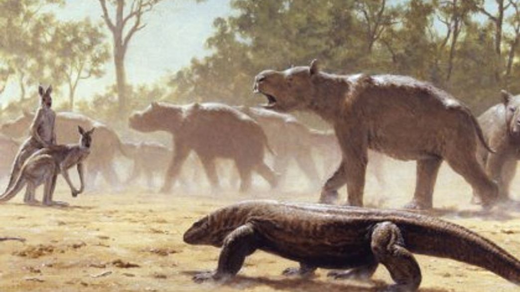 Australia's Ancient Giant Wombats Made Long Migrations | IFLScience