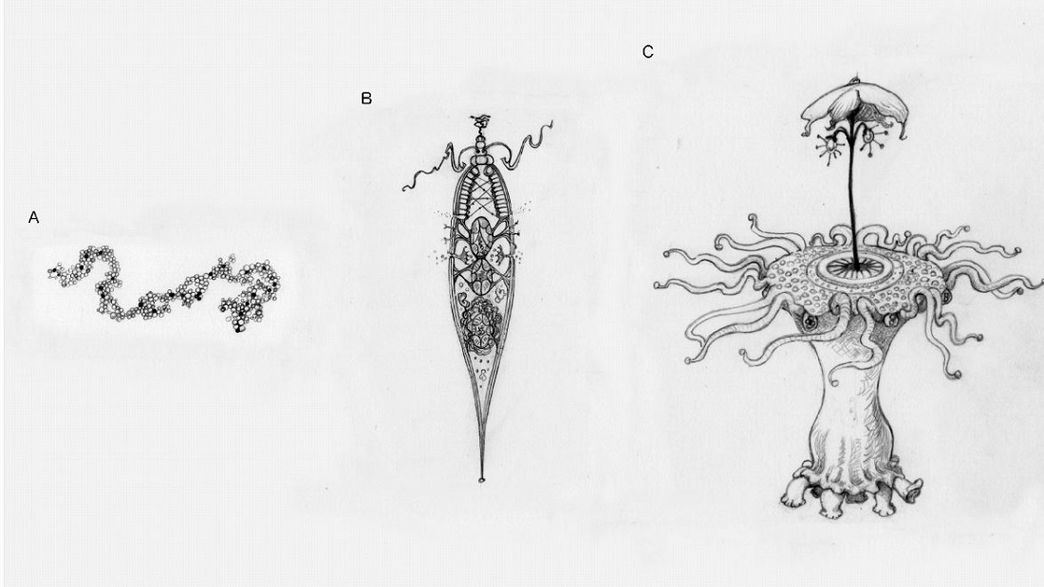 What Would Aliens Look Like? The Answer May Surprise You | IFLScience