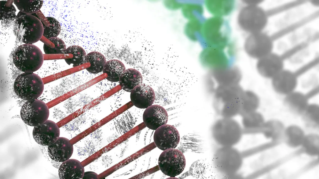 1511177702 Cover Image L