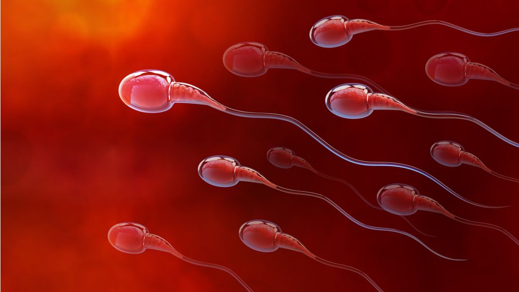 Promising New Male Birth Control Is Based On A Toxin Used For Poison ...