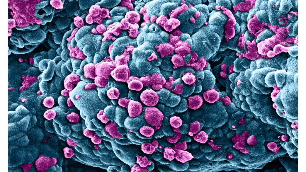 DNA Nanobots Precisely Target And Shrink Tumors, Without Any Side ...