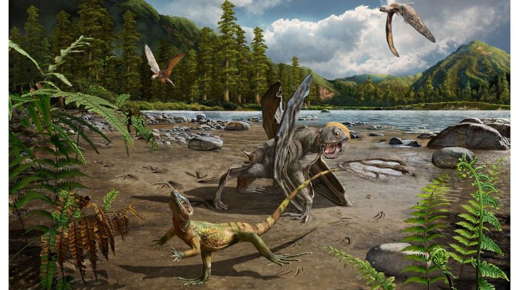 Lizards Have Been Running On Two Legs Since They Were Escaping Dinosaurs IFLScience