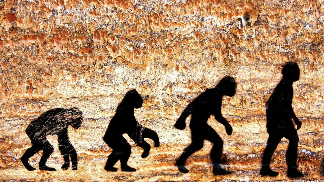 Evolution Incapacitation Evolution Could Destroy Our Ability To Tolerate Alcohol | IFLScience
