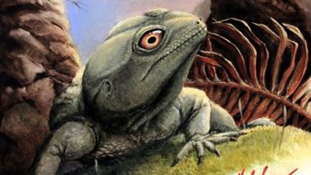 GeckoSized Ancient Reptile Had The Most Powerful Bite Of The Triassic IFLScience