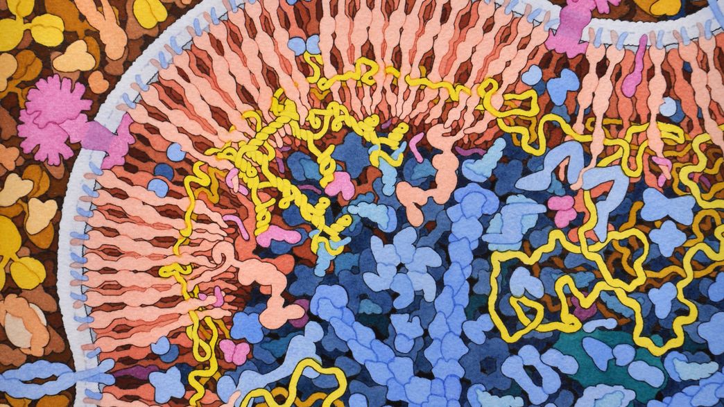 Who Was The First Person To Contract HIV? | IFLScience