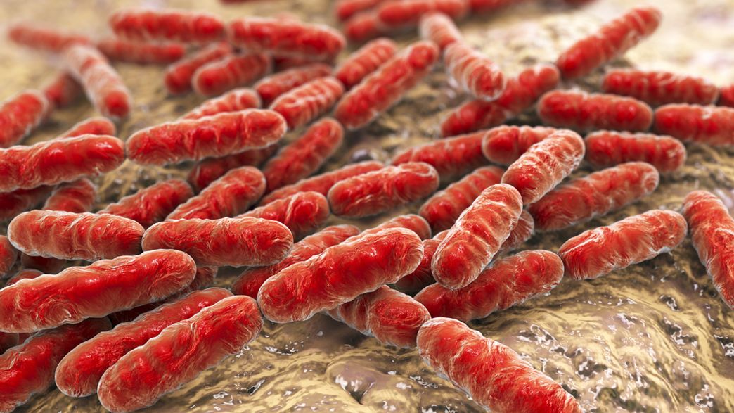 Bacteria Could Be Protecting Your Bladder Which Means We May Be Treating Utis All Wrong