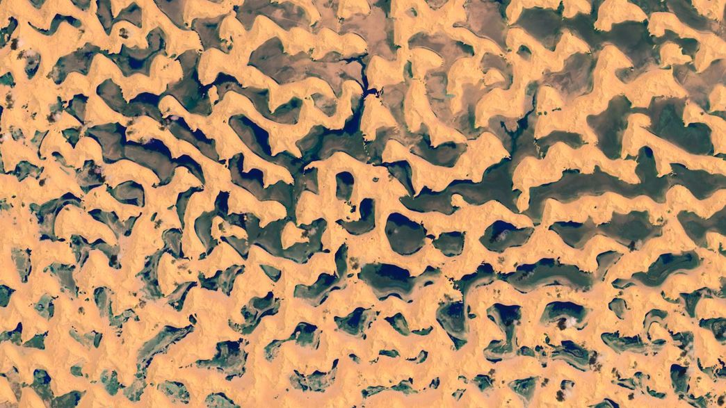 Satellite Images Show One Of The Driest Places On Earth Transformed ...