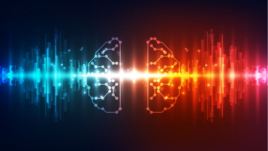 Scientists Have Built A 3d Model Of A Fruit Fly Brain And It Is A Glorious Rainbow Colored Masterpiece